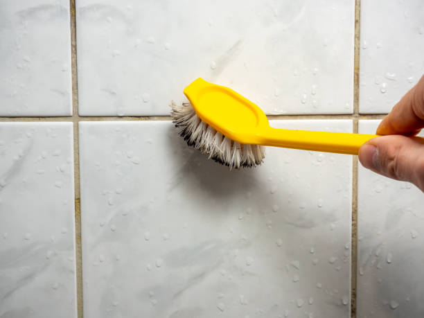Best Local Mold Removal Service  in South Rockwood, MI