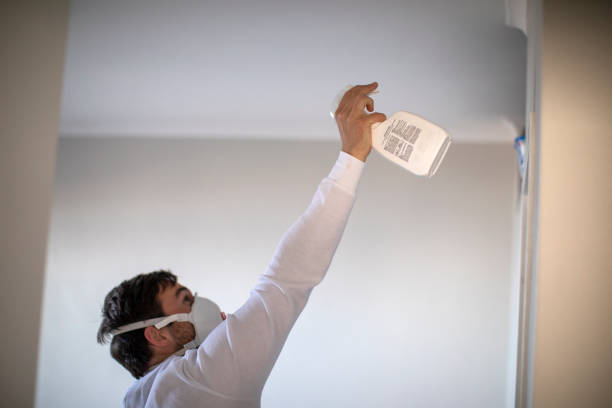 Best Mold Testing  in South Rockwood, MI